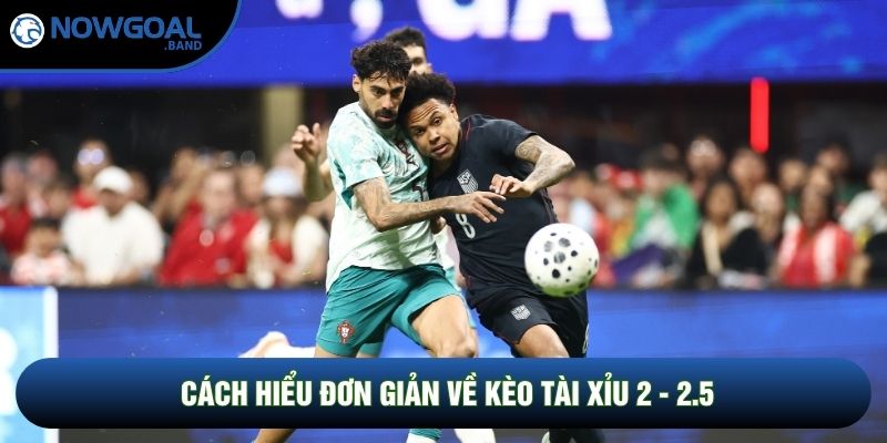 Cách hiểu đơn giản về kèo tài xỉu 2 - 2.5