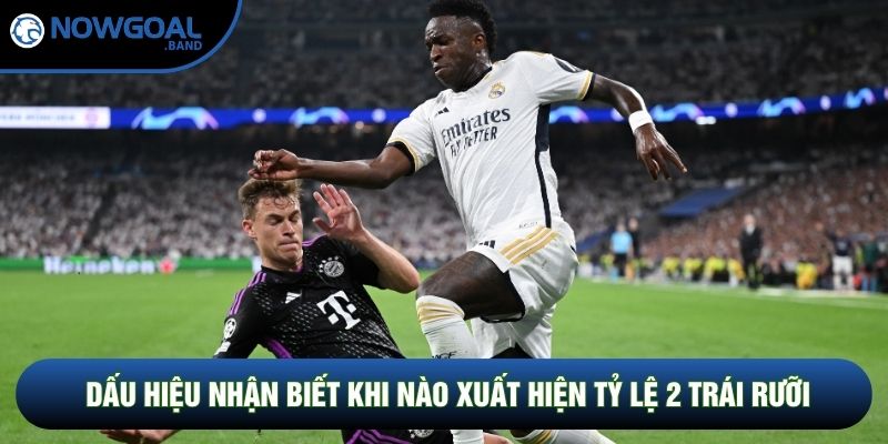 Dấu hiệu nhận biết khi nào xuất hiện tỷ lệ 2 trái rưỡi Dấu hiệu nhận biết khi nào xuất hiện tỷ lệ 2 trái rưỡi