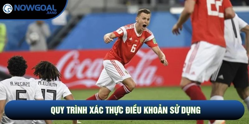 Quy trình xác thực điều khoản sử dụng