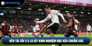 Kèo Tài Xỉu 2.5 Là Gì? Kinh Nghiệm Đọc Kèo Chuẩn Xác