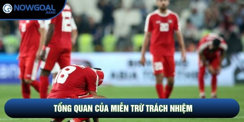 Tổng quan của miễn trừ trách nhiệm Tổng quan của miễn trừ trách nhiệm