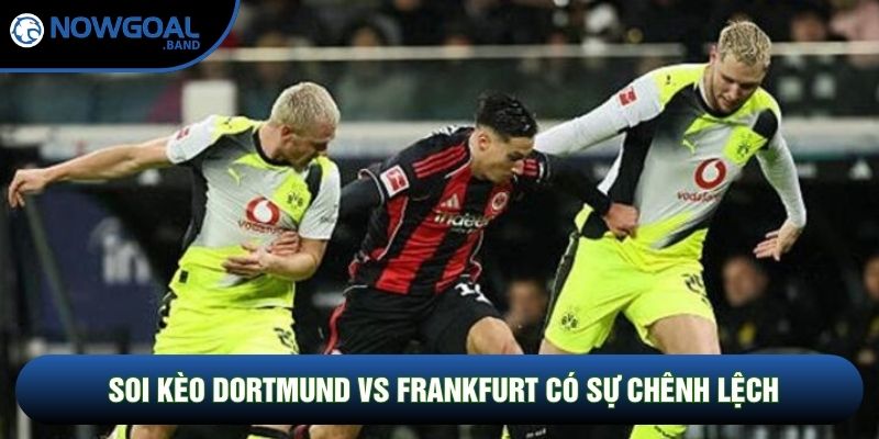 Soi kèo Dortmund vs Frankfurt có sự chênh lệch