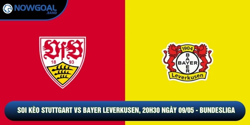 Soi Kèo Stuttgart Vs Bayer Leverkusen, 20h30 Ngày 09/05 - Bundesliga
