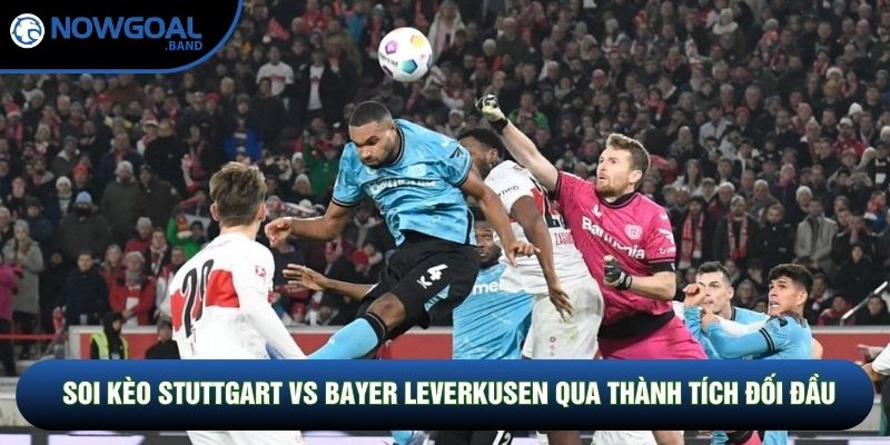 Soi kèo Stuttgart vs Bayer Leverkusen qua thành tích đối đầu