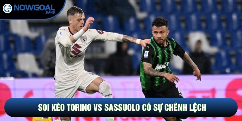 Soi kèo Torino vs Sassuolo có sự chênh lệch Soi kèo Torino vs Sassuolo có sự chênh lệch