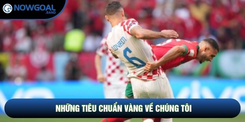 Những tiêu chuẩn vàng về chúng tôi